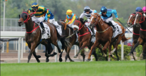 Singapore Horse Racing Odds